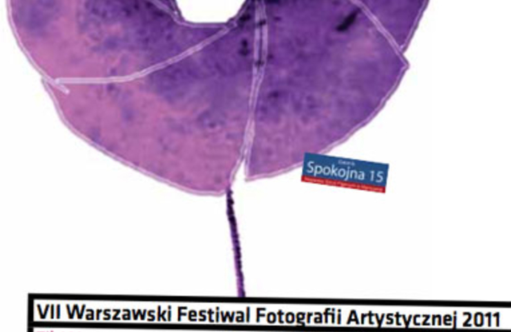 Galeria Spokojna, Warszawa